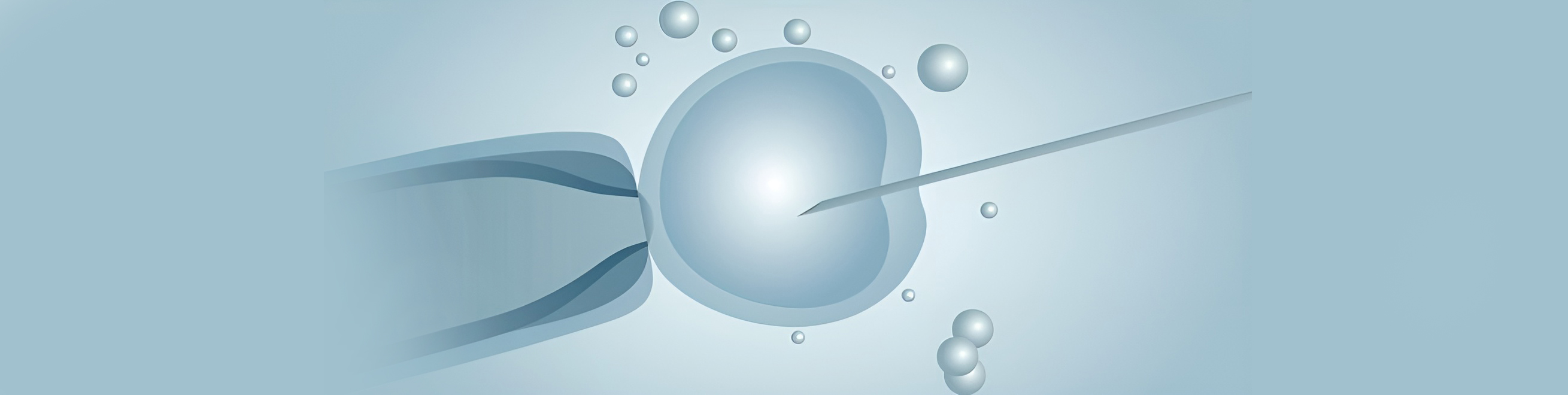 Insémination artificielle d'un ovule